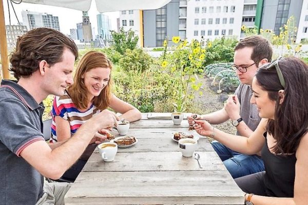 Rotterdam Food Tour