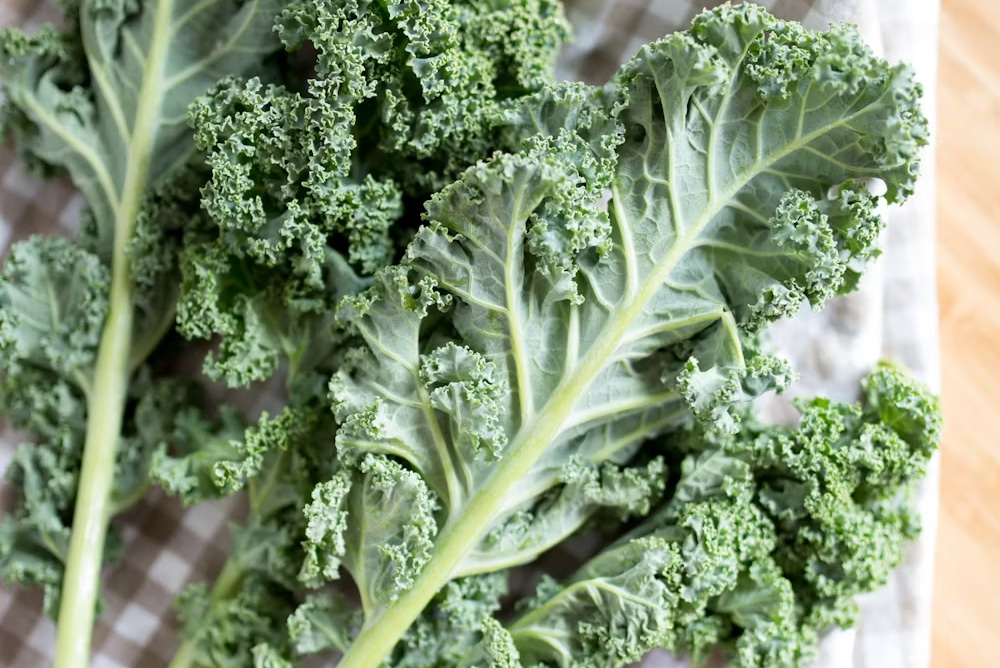 The healthiest food in the world: leafy green vegetables